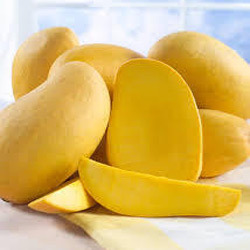 Ipindiasuppliers