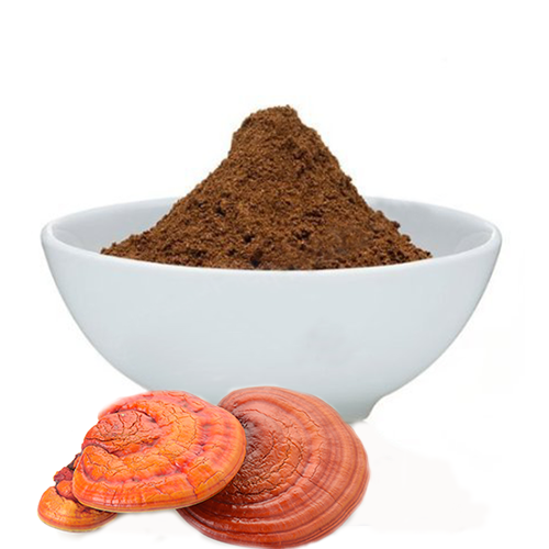 Ipindiasuppliers